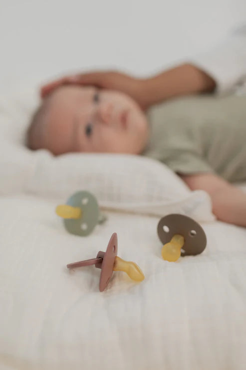 Chupete bibs Colour Anatomical x2 Fossil grey/Mauve