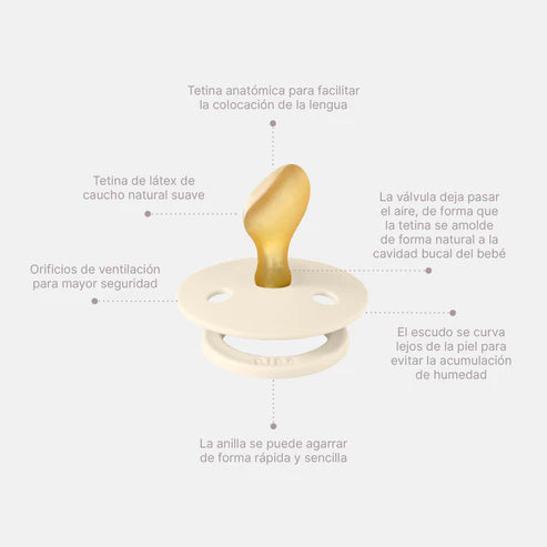 Chupete bibs Colour Anatomical x2 Fossil grey/Mauve