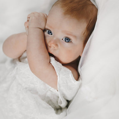 Complemento plan sin seguimiento